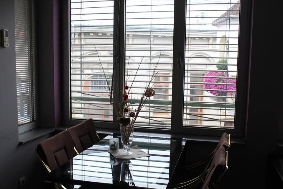 Apartman Natasa 1 Vrsac Eksteriør billede